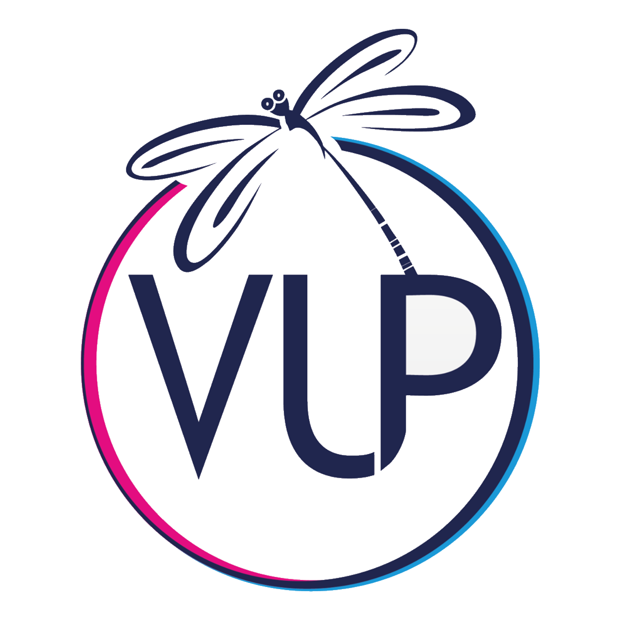 VOLLEYUP & UISP'80 EULOGIC
